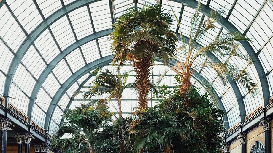 A lush inner garden in the Ford Foundation Atrium, a green oasis in the middle of Manhattan's architecture.