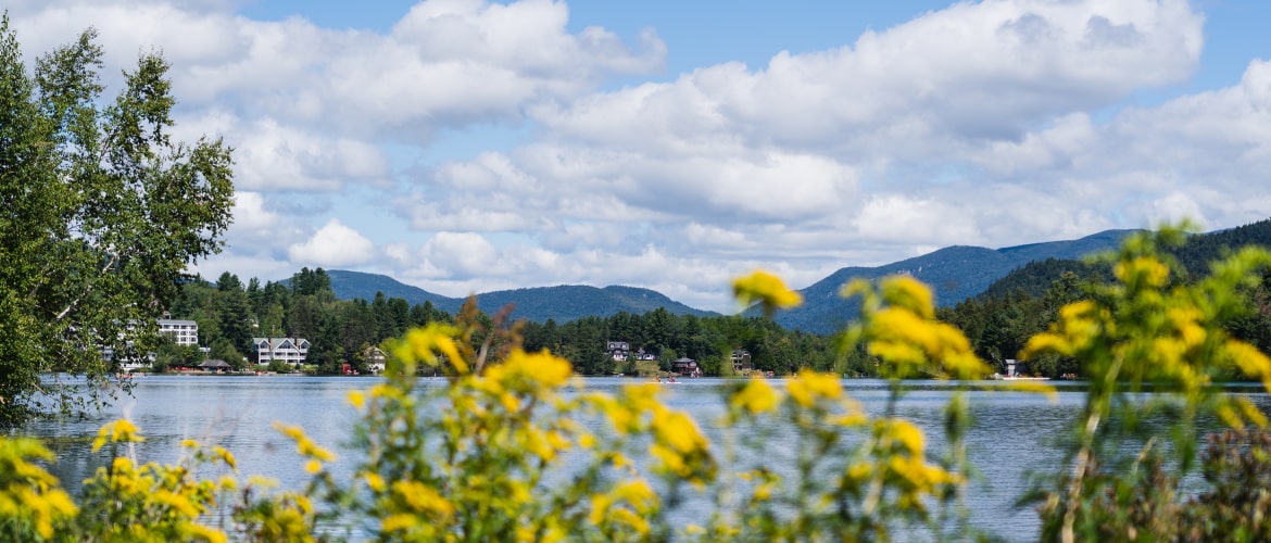 Yellow flowers against Mirror Lake in Lake Placid