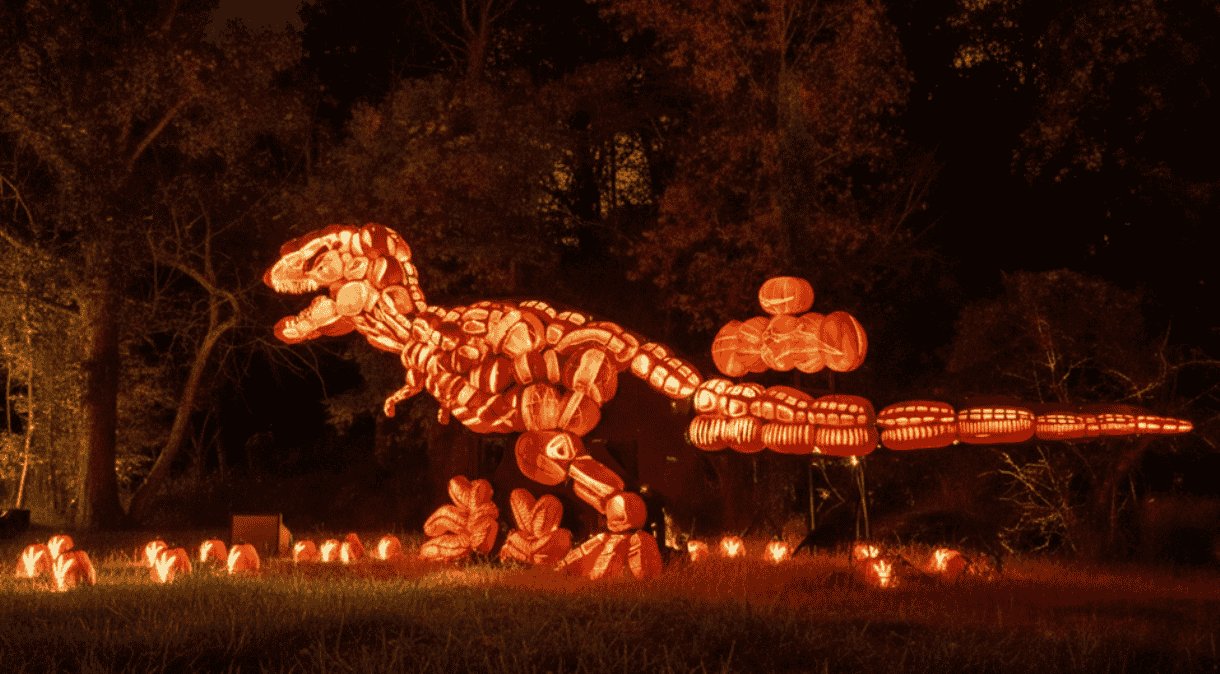 Giant glowing dinosaur sculpture made of carved pumpkins at the Great Jack O’Lantern Blaze in Sleepy Hollow
