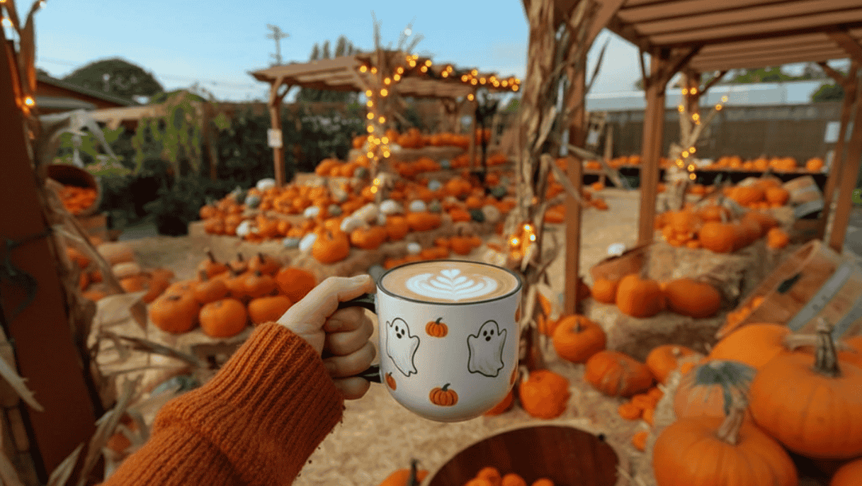 Pumpkin spice latte in a ghost mug at a cozy New York pumpkin patch during fall season